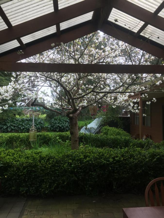 Sherwood Park Bed And Breakfast Somerville エクステリア 写真