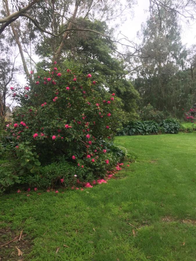 Sherwood Park Bed And Breakfast Somerville エクステリア 写真
