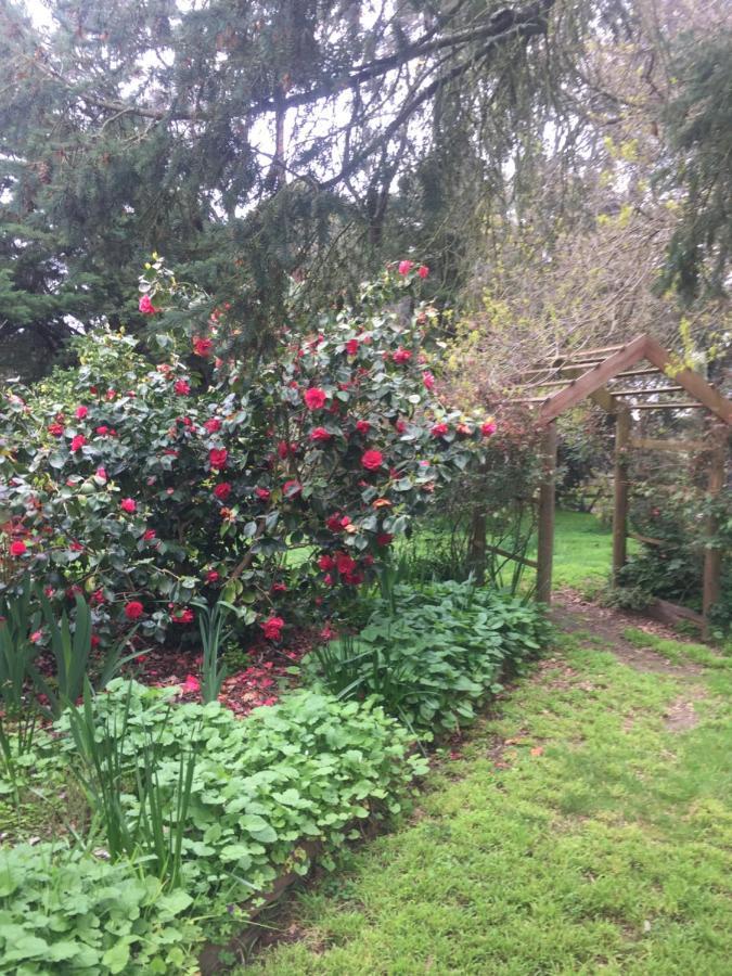 Sherwood Park Bed And Breakfast Somerville エクステリア 写真