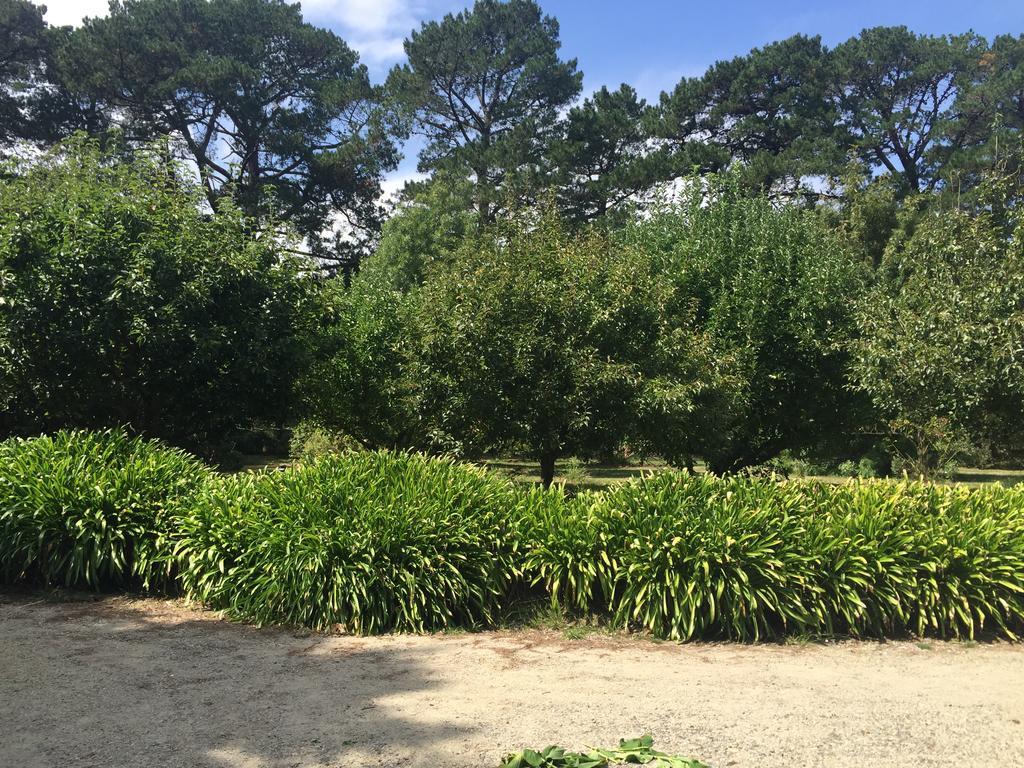 Sherwood Park Bed And Breakfast Somerville エクステリア 写真