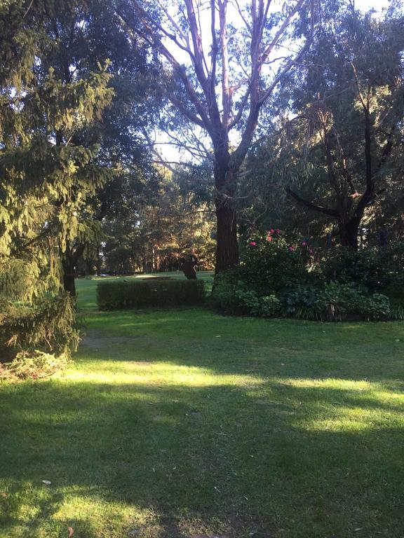 Sherwood Park Bed And Breakfast Somerville エクステリア 写真